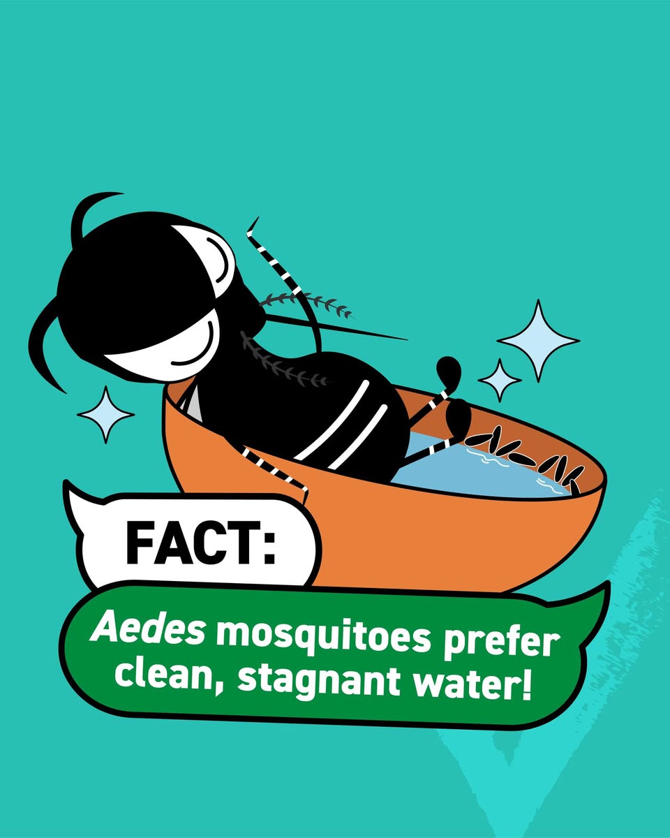 A family taking preventive measures against mosquitoes around their home.