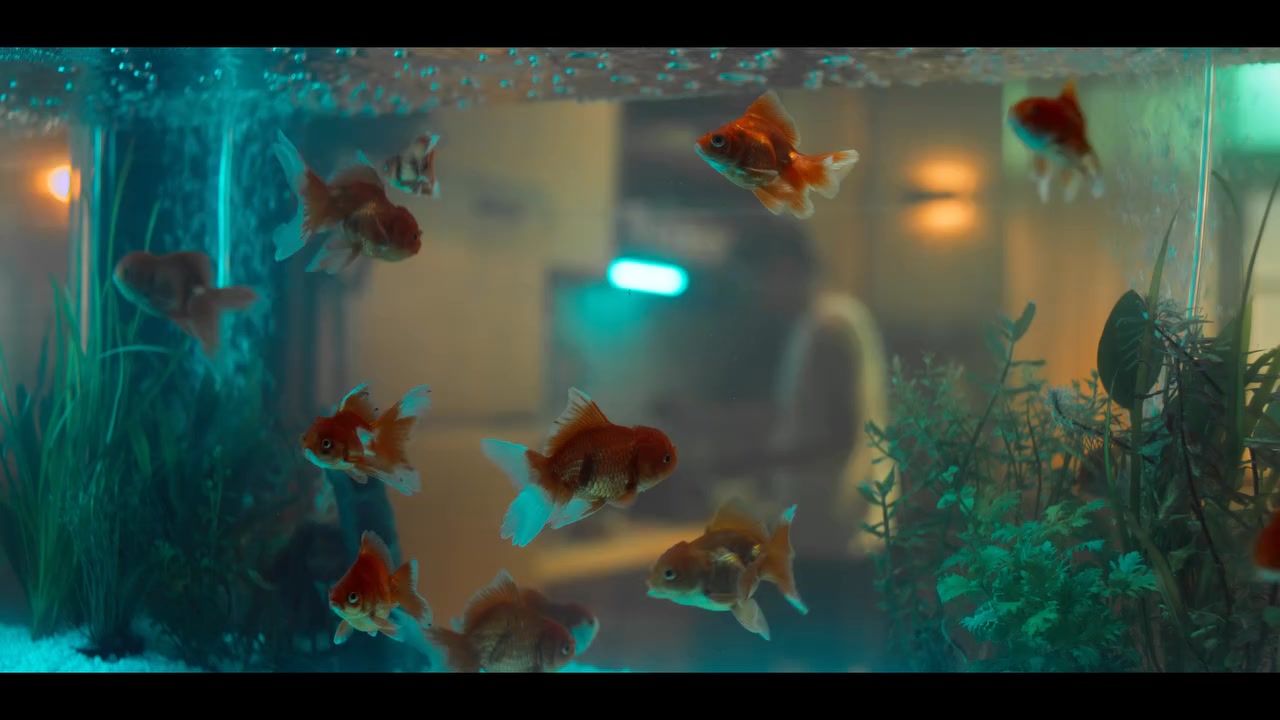 Shop Lower-Sodium Grocery Options at NTUC FairPrice