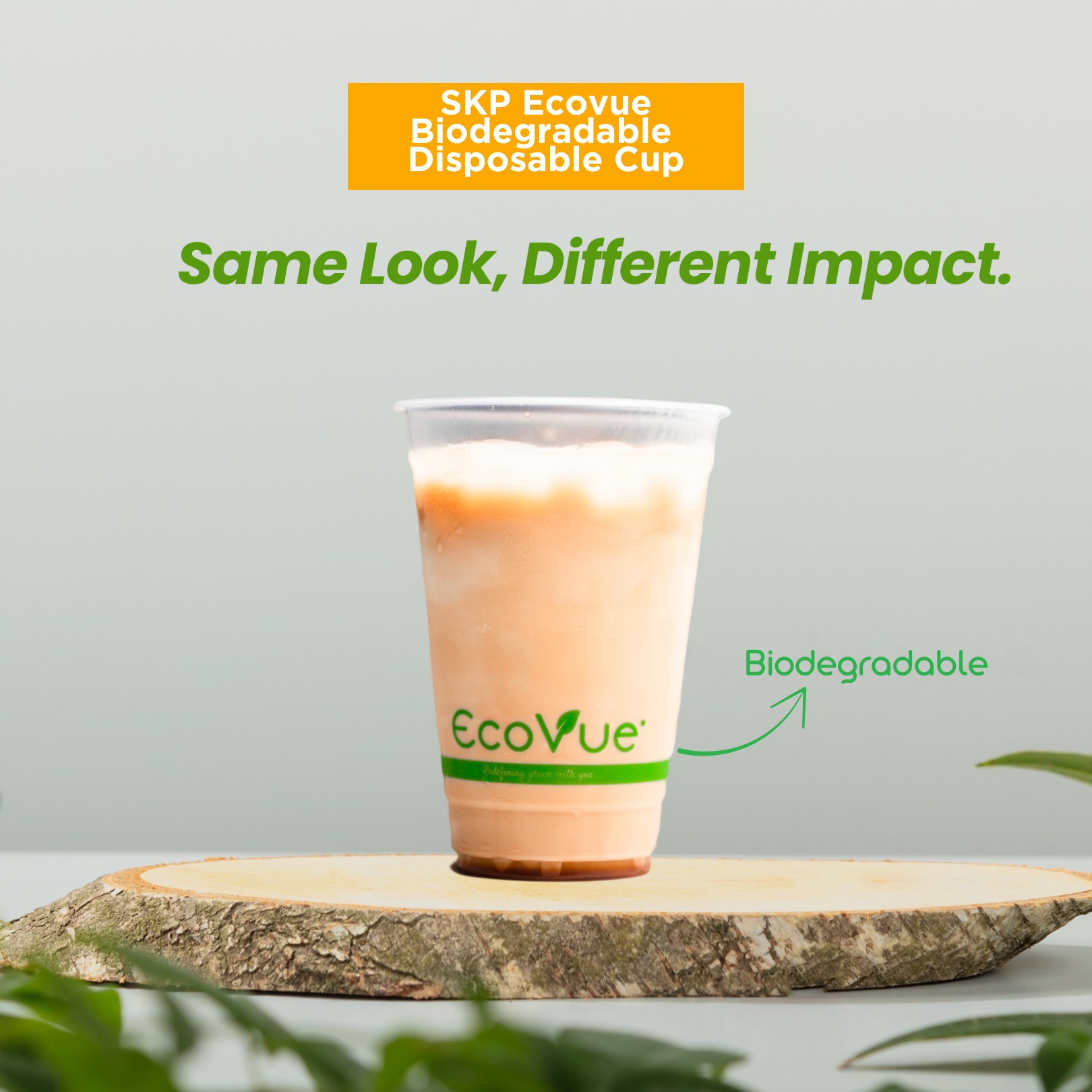 Variety of eco-friendly packaging products