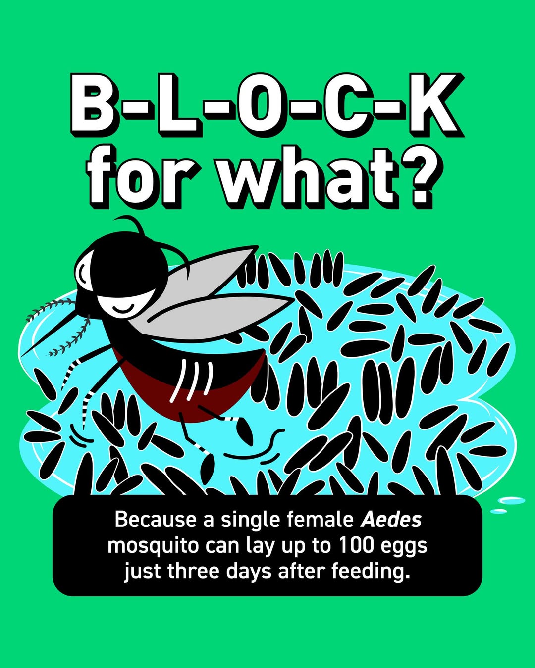 A visual representation of dengue prevention, showing a clean environment and mosquito control measures.
