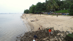 Natural beach at Sembawang Park facing the Straits of Johor
