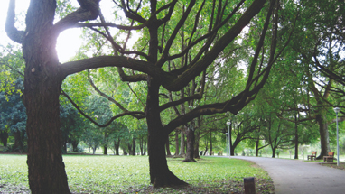 Heritage path and naval-era setting at Sembawang Park near Beaulieu House