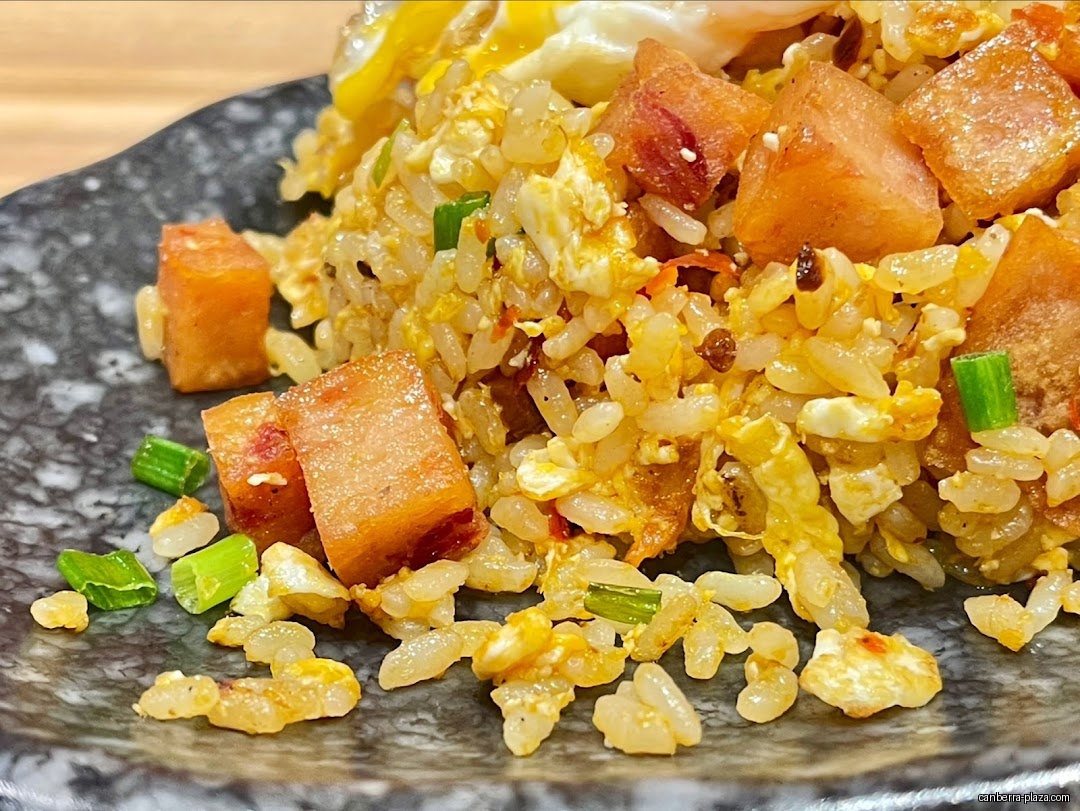 King of Fried Rice - Canberra Plaza - General
