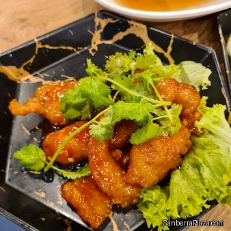 NaNa Curry (Canberra Plaza)