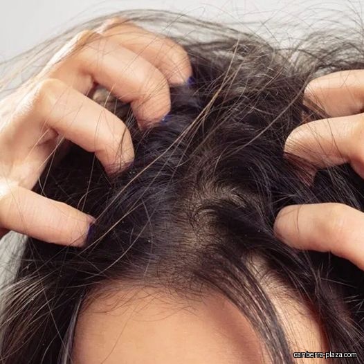 Xtreme Professional Hair Studio - Canberra - General